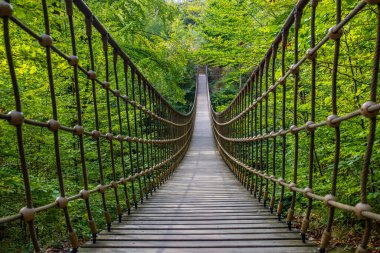 Bir vadi üzerindeki ahşap asma köprü, Alman ormanındaki güzel doğa ve ağaçlar.