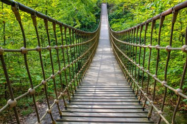 Bir vadi üzerindeki ahşap asma köprü, Alman ormanındaki güzel doğa ve ağaçlar.