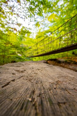 Bir vadi üzerindeki ahşap asma köprü, Alman ormanındaki güzel doğa ve ağaçlar.