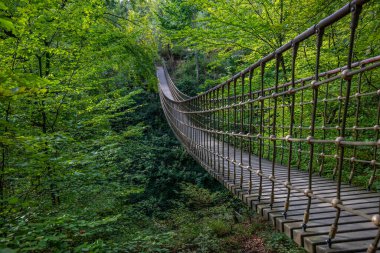 Bir vadi üzerindeki ahşap asma köprü, Alman ormanındaki güzel doğa ve ağaçlar.