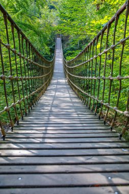 Bir vadi üzerindeki ahşap asma köprü, Alman ormanındaki güzel doğa ve ağaçlar.