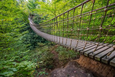 Bir vadi üzerindeki ahşap asma köprü, Alman ormanındaki güzel doğa ve ağaçlar.
