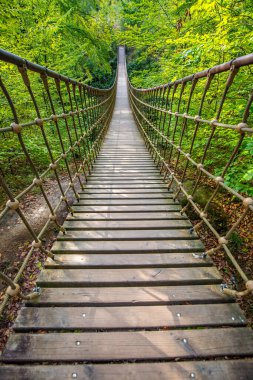 Bir vadi üzerindeki ahşap asma köprü, Alman ormanındaki güzel doğa ve ağaçlar.