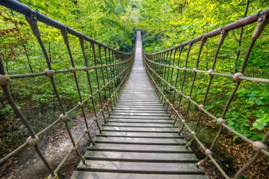 Bir vadi üzerindeki ahşap asma köprü, Alman ormanındaki güzel doğa ve ağaçlar.