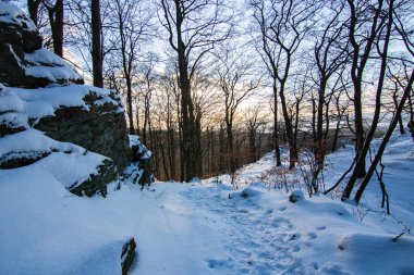 Kar ve buzla kaplı kış manzarası. Kışın sersemletici beyaz dağ ve orman manzarası. Taunus Dağları 'nda gün ışığı, Hesse, Almanya