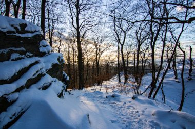 Kar ve buzla kaplı kış manzarası. Kışın sersemletici beyaz dağ ve orman manzarası. Taunus Dağları 'nda gün ışığı, Hesse, Almanya
