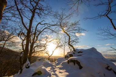 Kar ve buzla kaplı kış manzarası. Kışın sersemletici beyaz dağ ve orman manzarası. Taunus Dağları 'nda gün ışığı, Hesse, Almanya