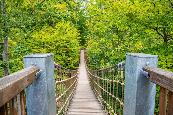 Bir vadi üzerindeki ahşap asma köprü, Alman ormanındaki güzel doğa ve ağaçlar.