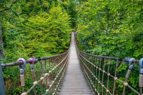 Bir vadi üzerindeki ahşap asma köprü, Alman ormanındaki güzel doğa ve ağaçlar.
