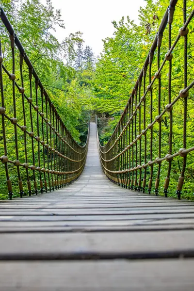 Bir vadi üzerindeki ahşap asma köprü, Alman ormanındaki güzel doğa ve ağaçlar.