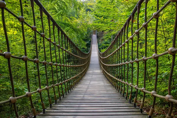 Bir vadi üzerindeki ahşap asma köprü, Alman ormanındaki güzel doğa ve ağaçlar.
