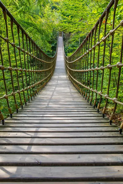Bir vadi üzerindeki ahşap asma köprü, Alman ormanındaki güzel doğa ve ağaçlar.