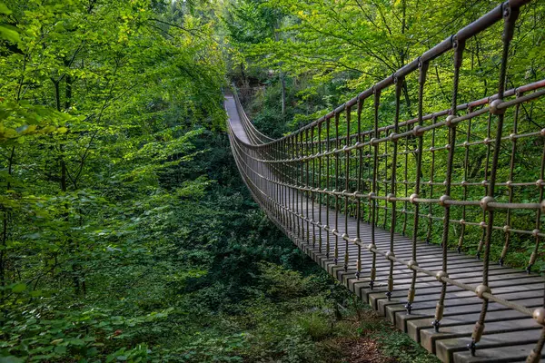 Bir vadi üzerindeki ahşap asma köprü, Alman ormanındaki güzel doğa ve ağaçlar.