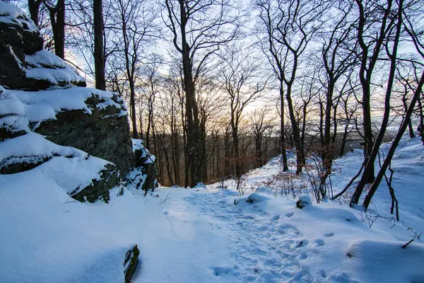 Kar ve buzla kaplı kış manzarası. Kışın sersemletici beyaz dağ ve orman manzarası. Taunus Dağları 'nda gün ışığı, Hesse, Almanya