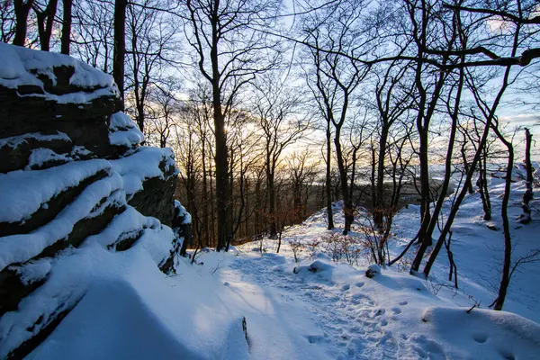 Kar ve buzla kaplı kış manzarası. Kışın sersemletici beyaz dağ ve orman manzarası. Taunus Dağları 'nda gün ışığı, Hesse, Almanya
