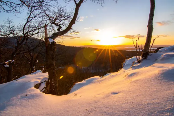 Kar ve buzla kaplı kış manzarası. Kışın sersemletici beyaz dağ ve orman manzarası. Taunus Dağları 'nda gün ışığı, Hesse, Almanya