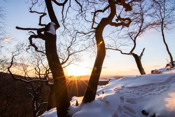 Kar ve buzla kaplı kış manzarası. Kışın sersemletici beyaz dağ ve orman manzarası. Taunus Dağları 'nda gün ışığı, Hesse, Almanya