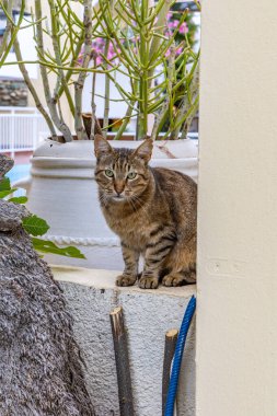 Akdeniz 'in eski bir kasabası. Dar sokaklardaki tarihi binalar. Yunanistan, Girit 'teki Rethymno kentsel görünümü