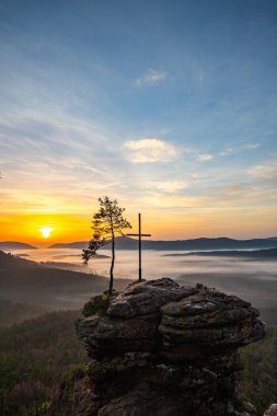 Bir dağ manzarasında gün doğumu. Ormandaki kumtaşı bir uçurumun arkasında yükselen güneş. Almanya 'daki Rtzenfelsen, Palatinate Ormanı' ndaki vadide sis oluşuyor.