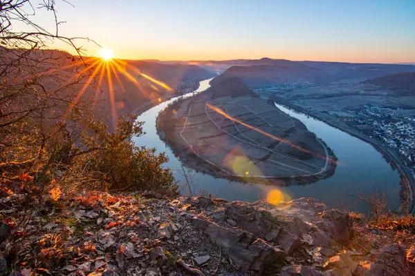Moselle 'in üzerinde gün doğumu. Nehir, Bremm, Calmont, Rhineland-Palatinate, Almanya yakınlarındaki üzüm bağlarıyla çevrili dar bir döngü içinde bir vadiden geçiyor.