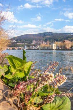 Schne Aussicht auf und in der Natur ber eine Stadt. Sonnenuntergang und wunderschnen Farben und Wolken 'ın önünde. Heidelberg, Baden-Wrttemberg, Almanya