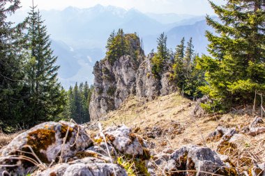 Bir bahar tırmanışının manzara fotoğrafı. Alman Alpleri 'nin güneş ışığındaki tipik manzara