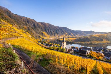 Almanya 'da güzel bir nehir olan Moselle döngüsü 180 derece döngü yapar. Üzüm bağları, güzel manzaralar, sabahleyin ışıklar...