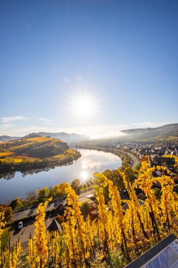 Almanya 'da güzel bir nehir olan Moselle döngüsü 180 derece döngü yapar. Üzüm bağları, güzel manzaralar, sabahleyin ışıklar...