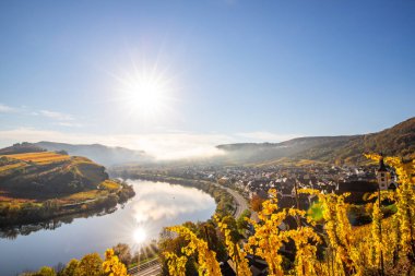 Almanya 'da güzel bir nehir olan Moselle döngüsü 180 derece döngü yapar. Üzüm bağları, güzel manzaralar, sabahleyin ışıklar...