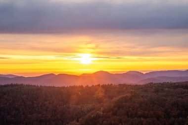 Tarihi bir kuleden orman manzarasında inanılmaz güzel bir gün doğumu. Luitpold Kulesi, Derebeyi Ormanı, Almanya 'da sabah manzarası