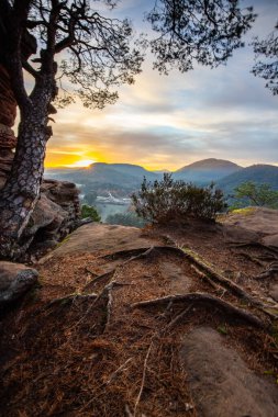 Kışın Sprinzelfelsen Kayası. Vadideki sis ve bu manzara fotoğrafındaki kayalık bir uçurum manzarası. Almanya 'nın Palatinate Ormanı' nda gün doğumu