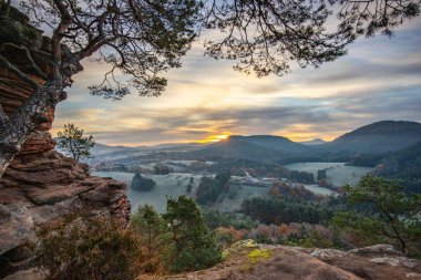 Kışın Sprinzelfelsen Kayası. Vadideki sis ve bu manzara fotoğrafındaki kayalık bir uçurum manzarası. Almanya 'nın Palatinate Ormanı' nda gün doğumu