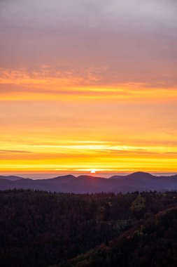 Tarihi bir kuleden orman manzarasında inanılmaz güzel bir gün doğumu. Luitpold Kulesi, Derebeyi Ormanı, Almanya 'da sabah manzarası