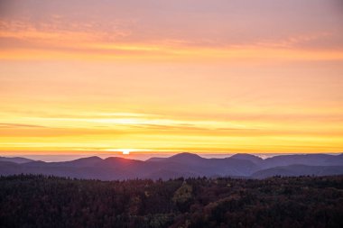 Tarihi bir kuleden orman manzarasında inanılmaz güzel bir gün doğumu. Luitpold Kulesi, Derebeyi Ormanı, Almanya 'da sabah manzarası