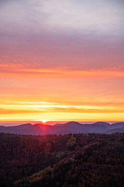 Tarihi bir kuleden orman manzarasında inanılmaz güzel bir gün doğumu. Luitpold Kulesi, Derebeyi Ormanı, Almanya 'da sabah manzarası