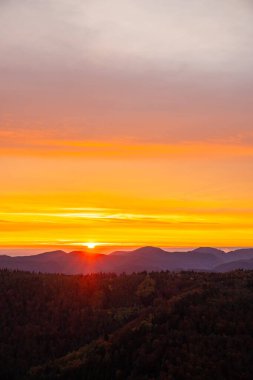 Tarihi bir kuleden orman manzarasında inanılmaz güzel bir gün doğumu. Luitpold Kulesi, Derebeyi Ormanı, Almanya 'da sabah manzarası