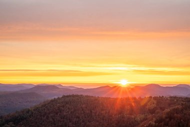 Tarihi bir kuleden orman manzarasında inanılmaz güzel bir gün doğumu. Luitpold Kulesi, Derebeyi Ormanı, Almanya 'da sabah manzarası