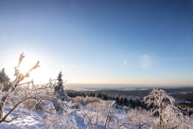 Kış manzarası, gün batımı ve karla kaplı ağaçlar. Taunus Dağları Feldberg 'de kış manzarası Hesse.,