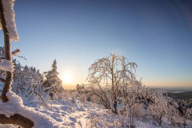 Kış manzarası, gün batımı ve karla kaplı ağaçlar. Taunus Dağları Feldberg 'de kış manzarası Hesse.,