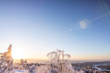 Kış manzarası, gün batımı ve karla kaplı ağaçlar. Taunus Dağları Feldberg 'de kış manzarası Hesse.,