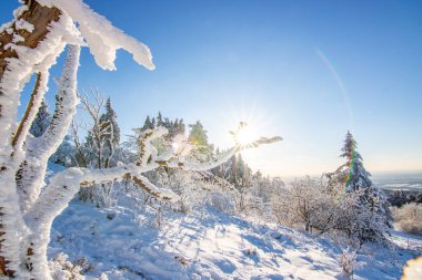 Kış manzarası, gün batımı ve karla kaplı ağaçlar. Taunus Dağları, Hesse, Almanya Feldberg 'de kış manzarası
