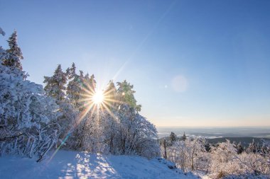 Kış manzarası, gün batımı ve karla kaplı ağaçlar. Taunus Dağları, Hesse, Almanya Feldberg 'de kış manzarası