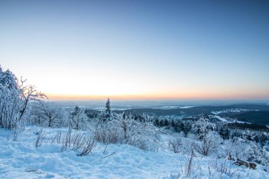 Kış manzarası, gün batımı ve karla kaplı ağaçlar. Taunus Dağları, Hesse, Almanya Feldberg 'de kış manzarası