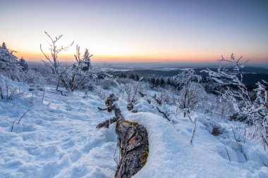 Kış manzarası, gün batımı ve karla kaplı ağaçlar. Taunus Dağları, Hesse, Almanya Feldberg 'de kış manzarası