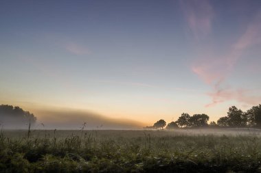 Sabahın ilk ışıklarıyla, donuk ve çarpıcı renklerle çekilen bir manzara. Sabah doğa, Taunus Dağları 'nda yürüyüş, Hesse, Almanya