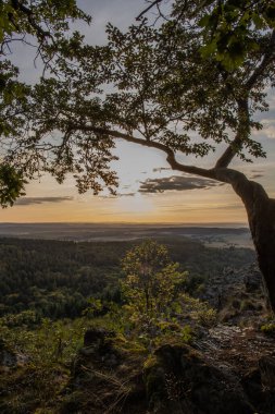 Taunus, Almanya 'da Feldberg' de güzel bir günbatımı. Doğada harika bir manzarayla ön planda bir taş ve yeşillik fotoğrafı çekildi.