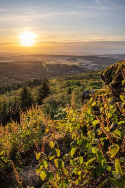 Taunus, Almanya 'da Feldberg' de güzel bir günbatımı. Doğada harika bir manzarayla ön planda bir taş ve yeşillik fotoğrafı çekildi.
