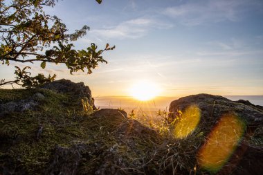 Taunus, Almanya 'da Feldberg' de güzel bir günbatımı. Doğada harika bir manzarayla ön planda bir taş ve yeşillik fotoğrafı çekildi.