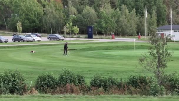 Mężczyzna Ćwiczy Golfa Szwedzkim Lecie Wysokiej Jakości Materiał — Wideo stockowe