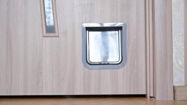 The cat enters the cat door